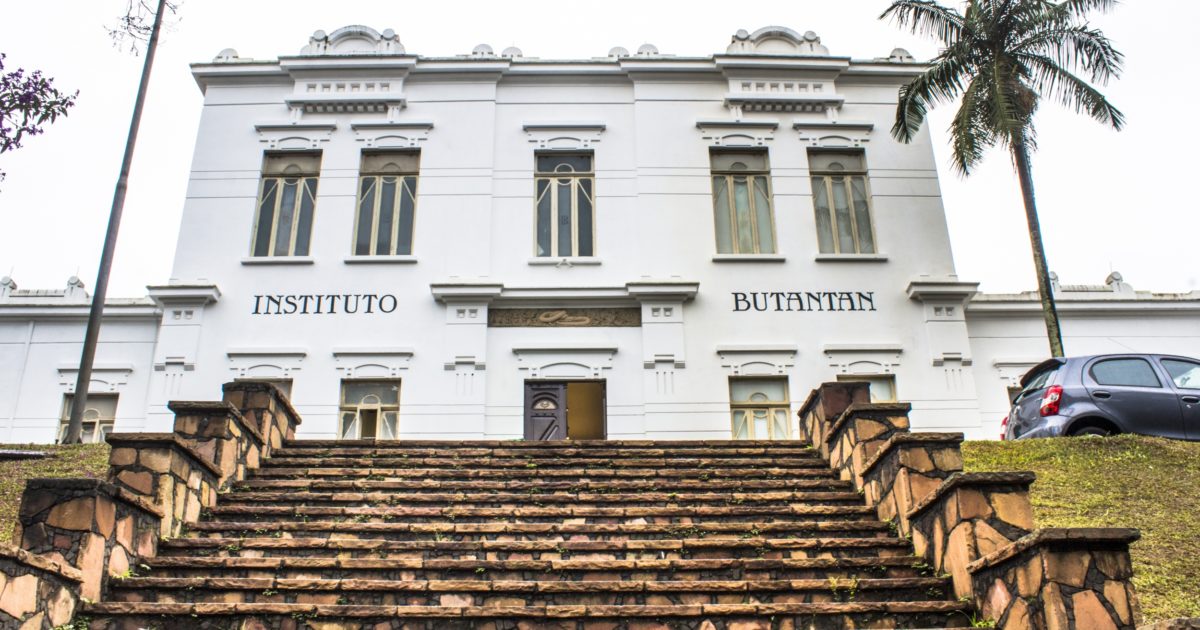 Governo corta benefícios fiscais para pesquisa científica e atinge projetos de Butantan e Fiocruz na pandemia